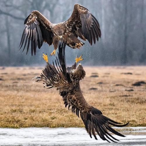 tumblr_pk580gtohc1tg93zvo1_1280