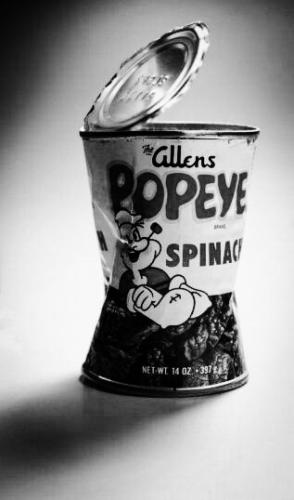 tumblr_485630332d3b572aff3451d58593335b_4e4da0ff_400