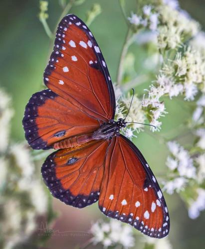 289320769_1675594136147353_3486980337987481805_n