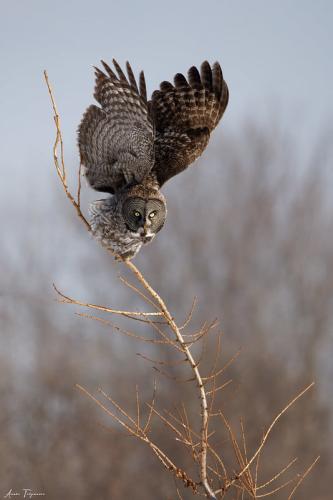 284802664_10166234103435593_6889021399152727845_n