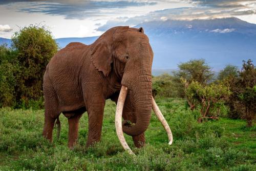 289239716_552136649694591_1773854078829969813_n