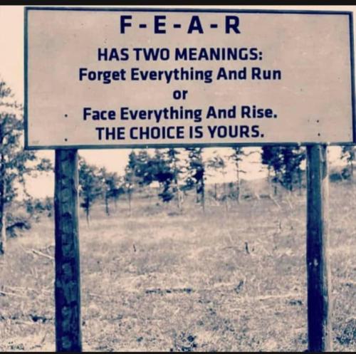 287615670_1248532835920241_3475078729361862489_n