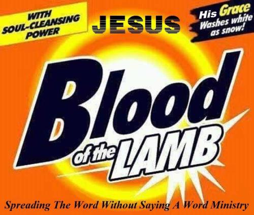 10400928_1004025176346280_2021372265474845916_n