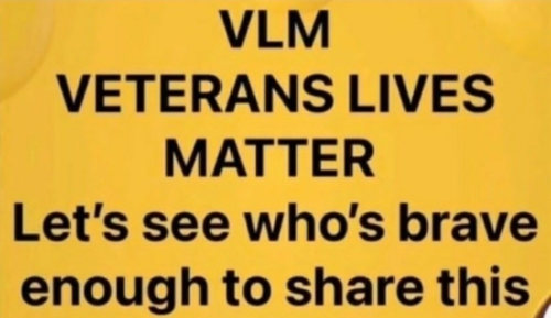 vets lives