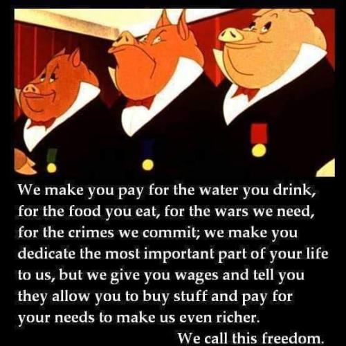 FB_IMG_1656424483879