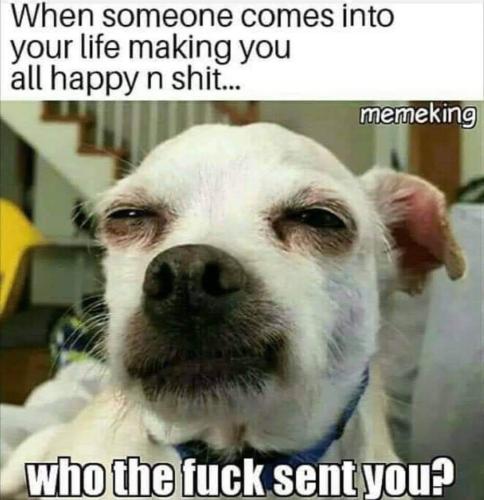 FB_IMG_1655734744687