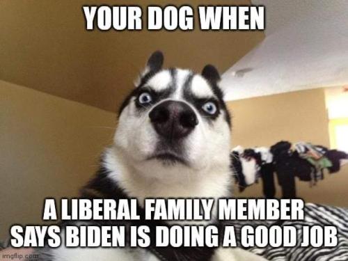FB_IMG_1654264810043