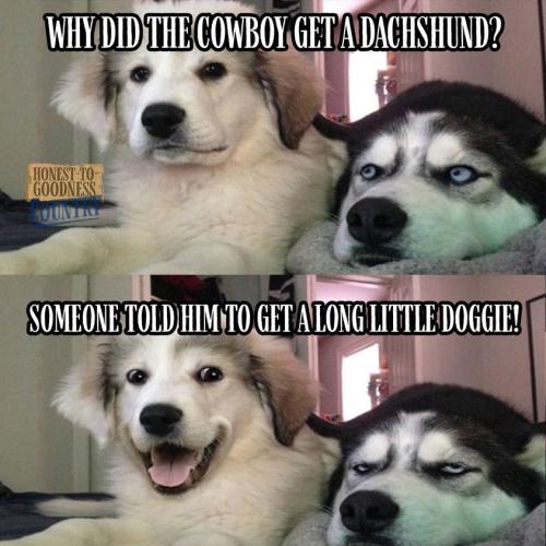 284705287_5606124256099703_193056221993706712_n