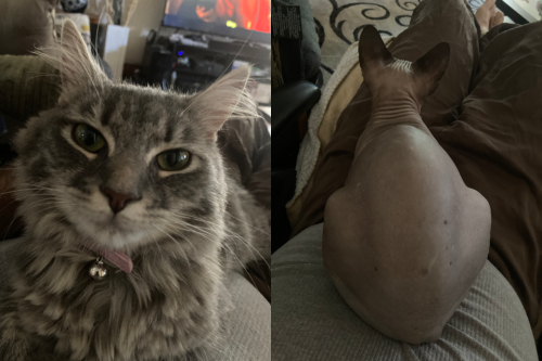 22:02:02 GMT-0400 (EDT).image