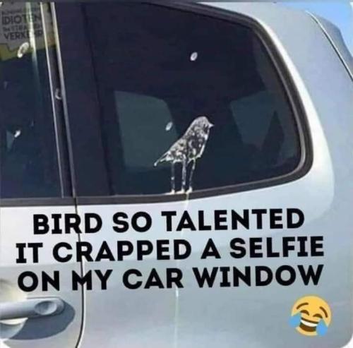 FB_IMG_1654540472256