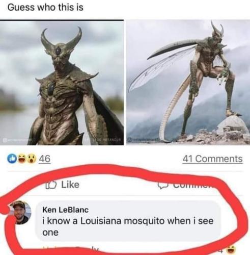 FB_IMG_1656395233418