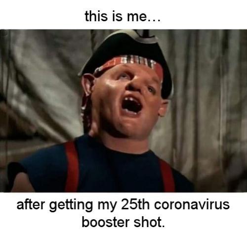 booster15