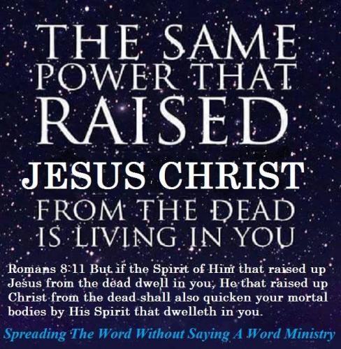 12795465_1010190029063128_9154699219711272615_n