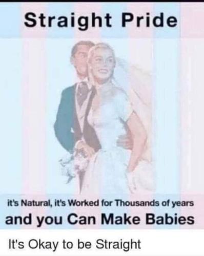 straight pride f