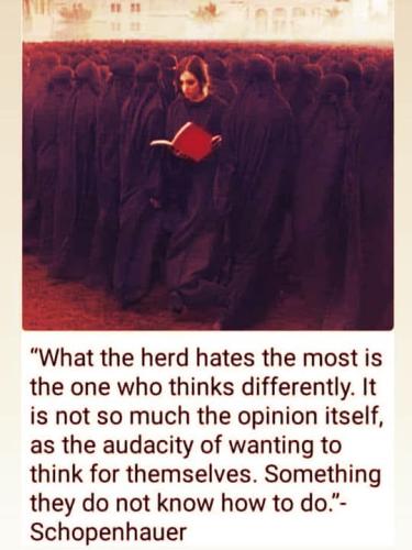 285341527_5065076196874178_6767367294380758506_n