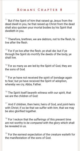 Screenshot_20220604-160246_DuckDuckGo