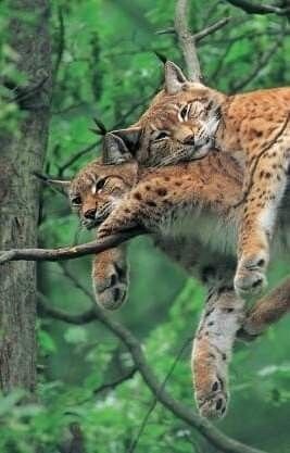 287674410_10217086775361710_6007247666137714975_n