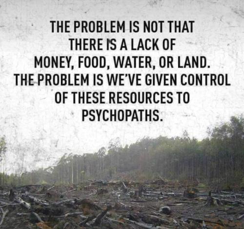 8AF7423F-F577-49F3-8F23-86018D705925-54142-00001C610B32C854