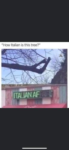 FB_IMG_1655236081922