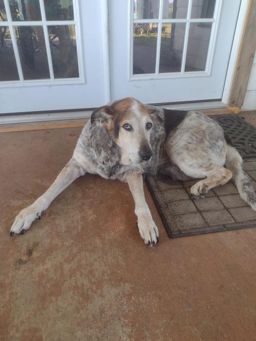 IMG_20220620_084727054