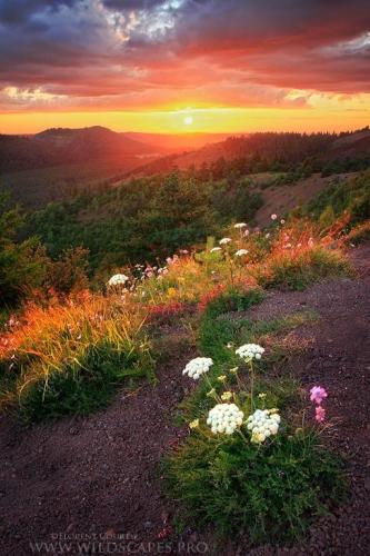 19:59:20 GMT-0500 (CDT)