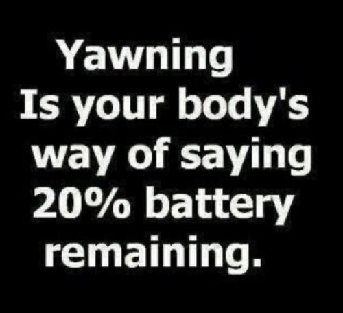 tumblr_f08ab511aecc364eeb9a4a72d3c61195_4979400e_540