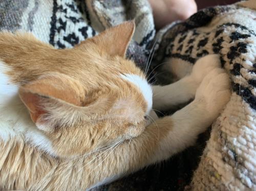 3D371593-5617-4604-B119-0A34122ED846