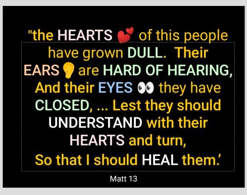 Screenshot_2022-06-03-06-28-11-670_cn.wps.moffice_eng~2