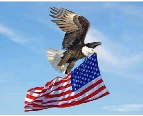 20:51:38 GMT-0500 (CDT)