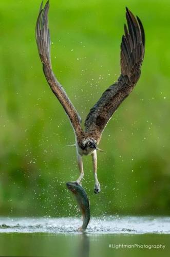 287703795_751211522900103_6247236222496447068_n