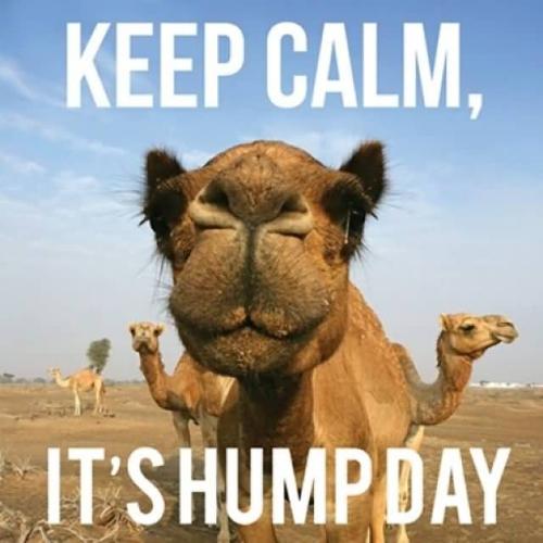1-Keep Calm Hump Day