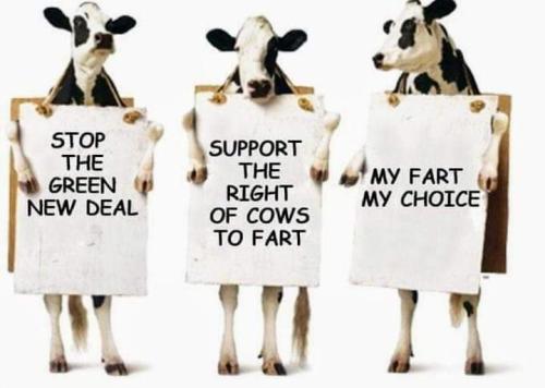 FB_IMG_1656338493985