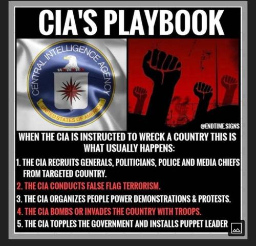 cia playbook wim