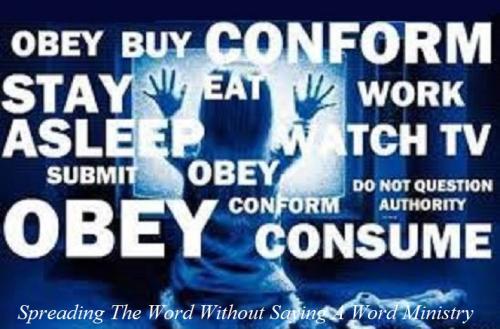 51530677_2170025256412927_8628364370226708480_n