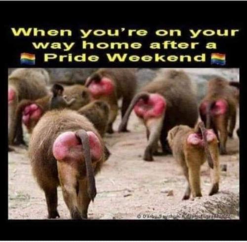 FB_IMG_1655223498112