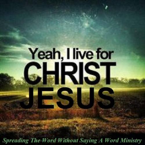 12791092_1006335462781918_5591056540665892273_n