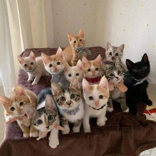 IMG_20220317_071823_932