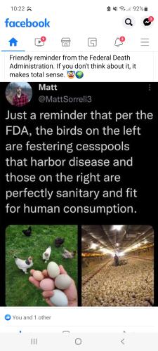 Screenshot_20220626-222231_Facebook