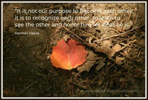 FB_IMG_1656253364929