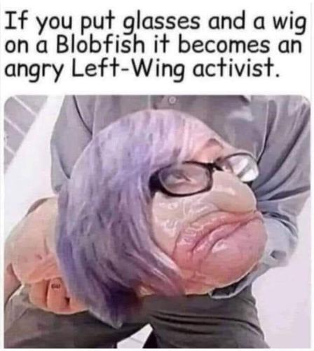 289151398_10166500800300343_362792638530171099_n