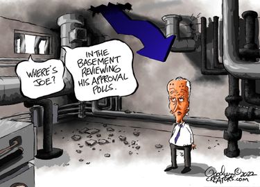 alg061422dAPC20220613054511-375x275