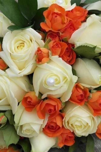 08:25:38 GMT-0500 (CDT)