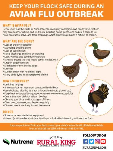 FB_IMG_1654920904140