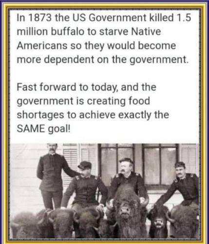 IMG_20220605_220434_886