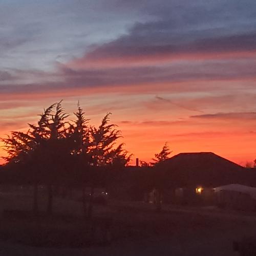 IMG_20210629_164826_857