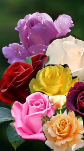 07:37:38 GMT-0500 (CDT)