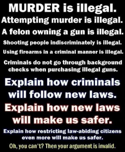 explain how more gun laws are going to make us safer