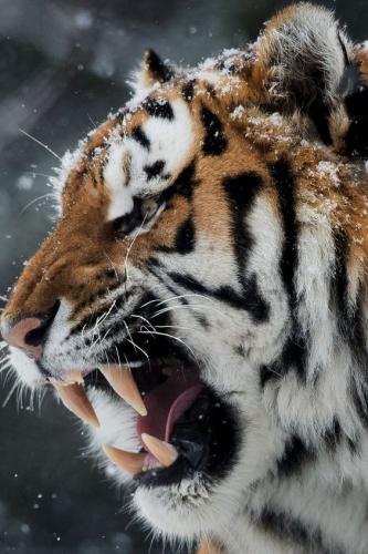 c194e2279deb9409cf84308b5c96b089