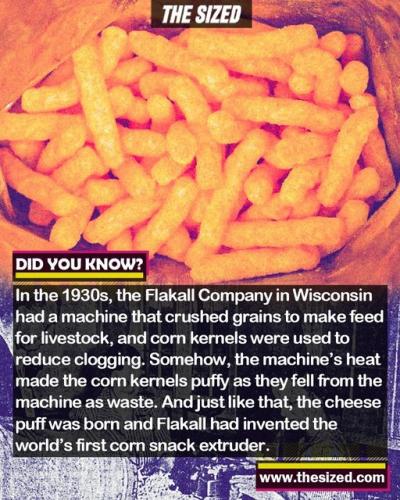 290598423_561713925394929_6153557970973960664_n