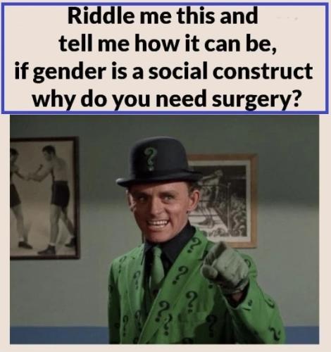 xephula_5a12d3d098a307a3c0cde329c6c20265